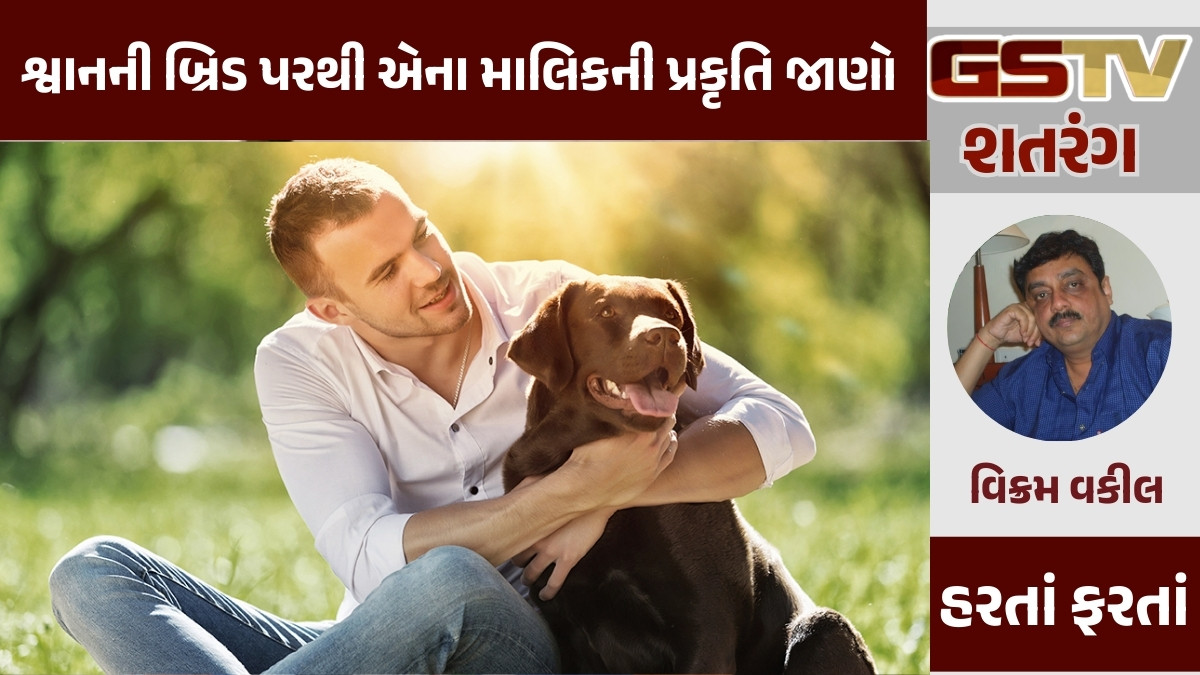 GSTV શતરંગ/ શ્વાનની બ્રિડ પરથી એના માલિકની પ્રકૃતિ જાણો