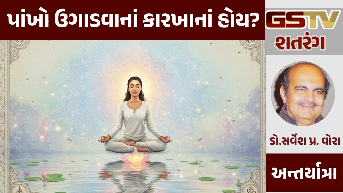 GSTV શતરંગ/ પાંખો ઉગાડવાનાં કારખાનાં હોય?