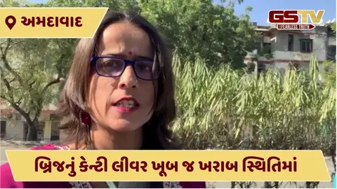 VIDEO: અમદાવાદના સુભાષ બ્રિજની મરામત અને સુરક્ષાને લઈને તંત્રની ઘોર બેદરકારી, જાણો સમગ્ર મામલો