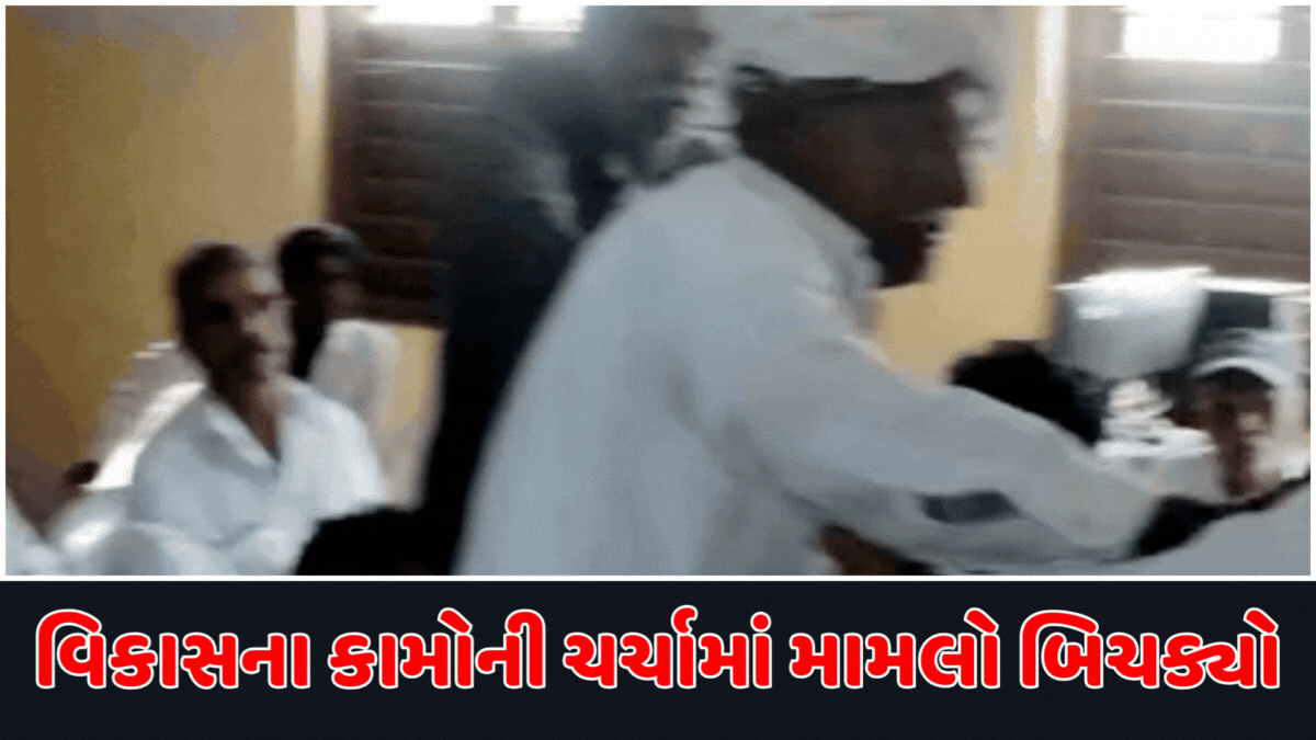 Panchmahal News: ગ્રામ પંચાયતની સામાન્ય સભામાં છુટાહાથની મારામારી, જાણો ક્યાં બની આ ઘટના