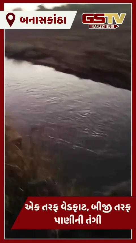 Video/  વાવ-થરાદ પંથકમાં કેનાલો ઓવરફ્લો, ઊભો પાક બગડ્યો, કરોડોની ગ્રાન્ટ ક્યાં ગઈ? - ખેડૂતોનો આક્રોશ