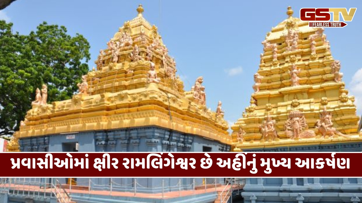 Travel Destination / ભીડભાડથી દૂર શાંત સ્થળ શોધી રહ્યો છો? તો પાલકોલ્લુની લો મુલાકાત