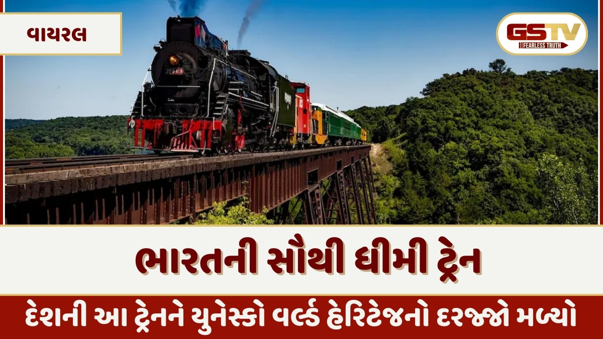 સાઈકલ કરતાં પણ ધીમી ચાલે છે ભારતની આ ટ્રેન, છતાં દીવાન છે વિશ્વભરના પ્રવાસીઓ
