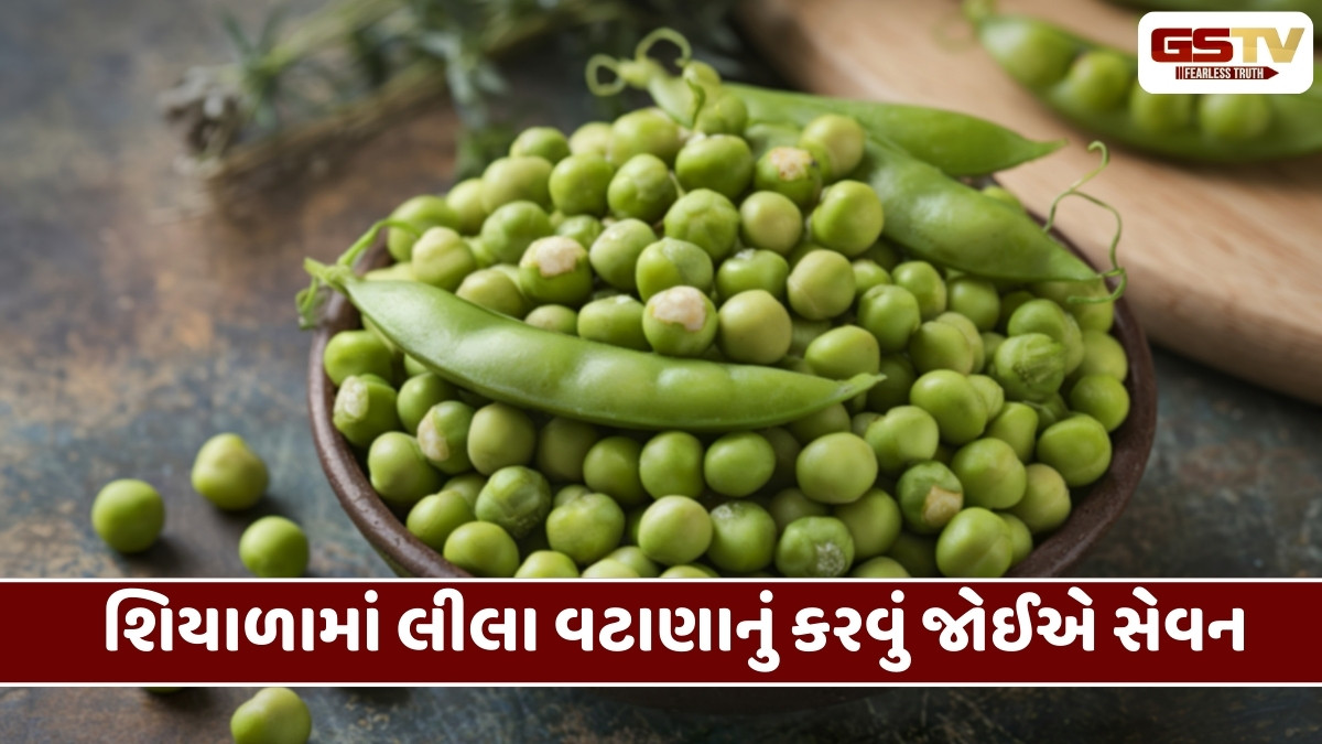 Health Tips : શિયાળાની રાણી કહેવાય છે લીલા વટાણા, સેવન કરવાથી આરોગ્યને થાય છે અદ્દભૂત લાભ