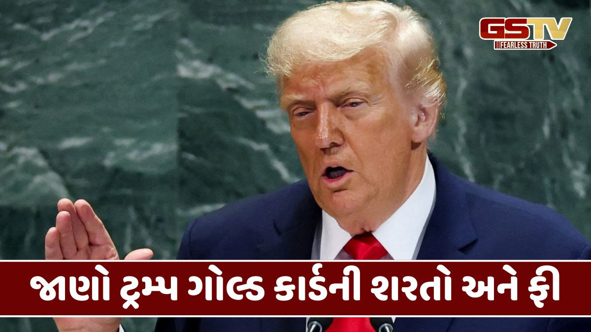 Americaમાં ટ્રમ્પ ગોલ્ડ કાર્ડ વિઝા પ્રોગ્રામ શરુ, જાણો ભારતીયો પર શું અસર થશે
