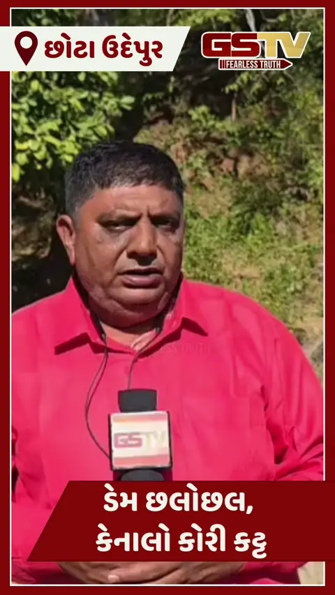 Video/ Chhota Udaipur માં સિંચાઈની મુશ્કેલી: જાની સરોવર છલોછલ ભરેલું છતાં, ખેડૂતોના પાણી માટે વલખાં 
