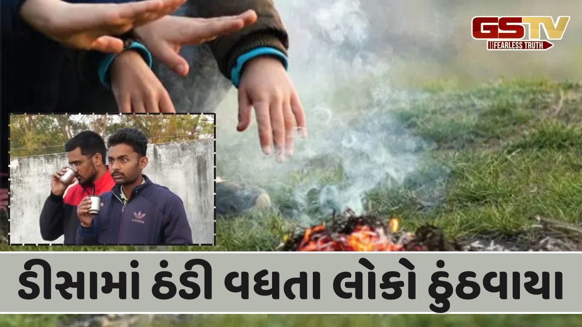 Banaskantha News: ડીસામાં ઠંડીનો ચમકારો વધ્યો, સ્વેટર-મફલર અને ટોપીમાં જોવા મળ્યા લોકો