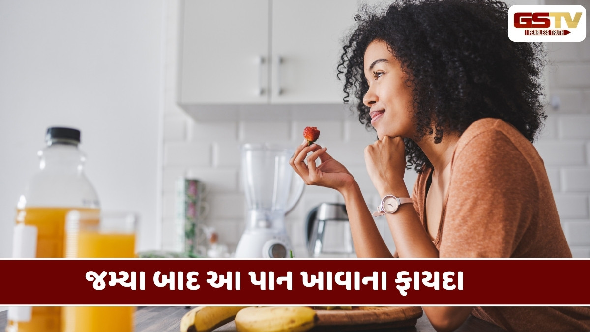 Health Tips : જમ્યા બાદ ચાવી લો આ પાંદડું, પેટ રહેશે સ્વસ્થ અને વજન પણ ઘટશે