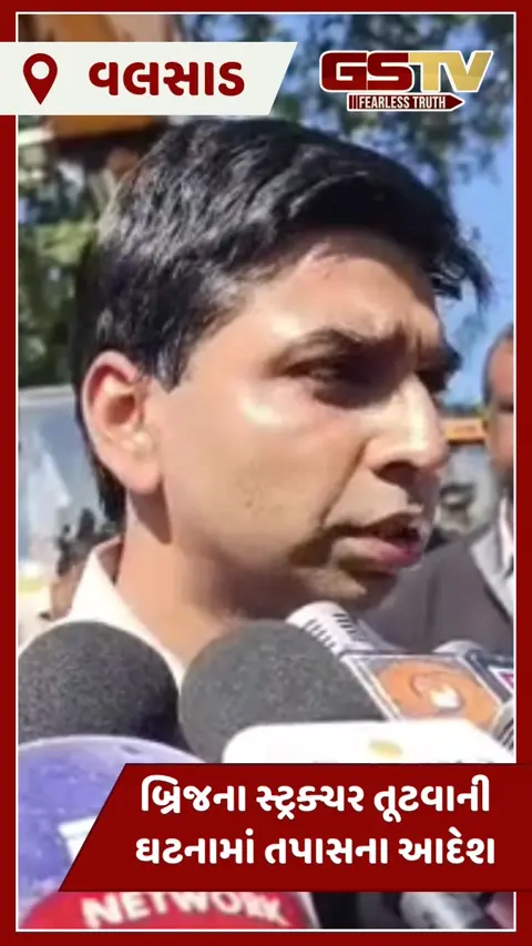 Valsad News: બ્રિજના સ્ટ્રક્ચર તૂટવાની ઘટનામાં કલેક્ટરની કાર્યવાહી, તપાસ કમિટી બની