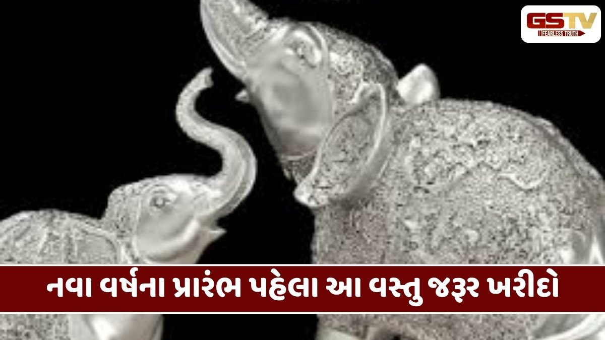 Religion : નવું વર્ષ શરૂ થાય તે પહેલાં આ 4 વસ્તુઓ ખરીદો, ઘરમાં નહીં રહે આર્થિક તંગી