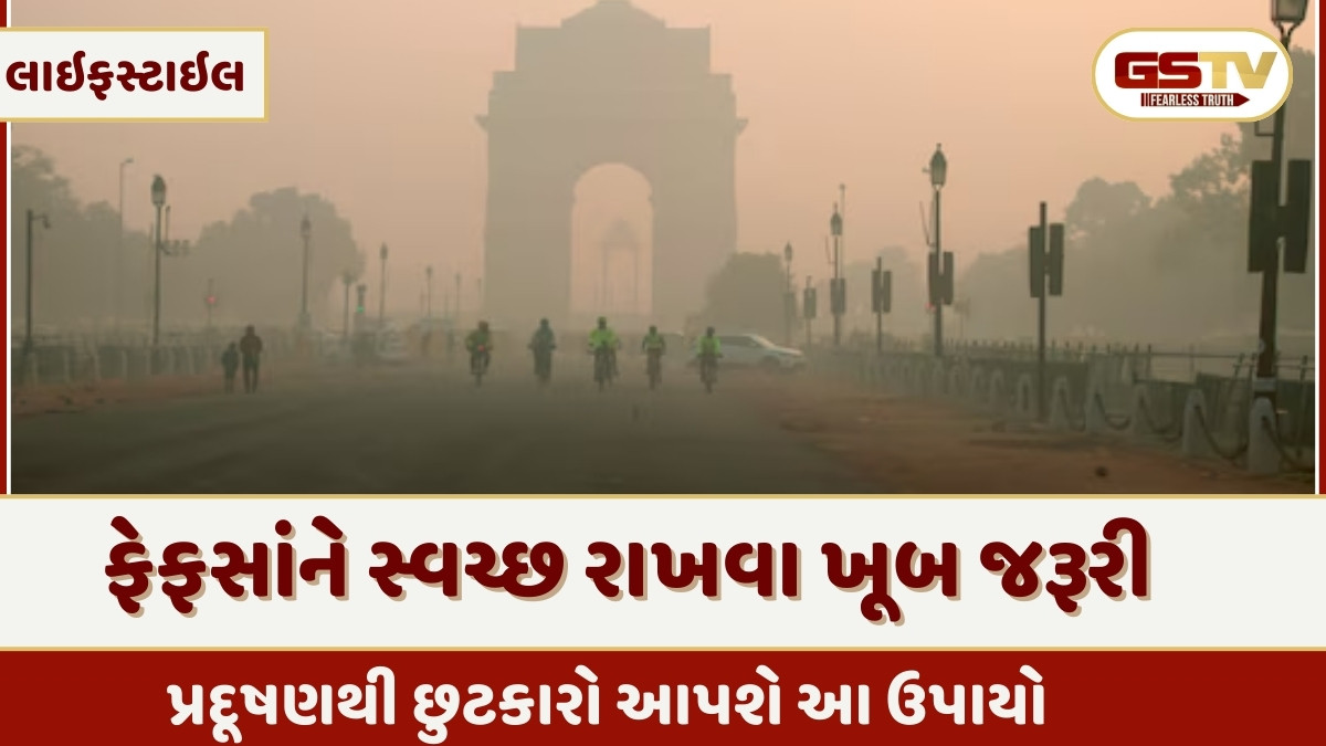 Health Tips : શું તમે ધુમ્મસ અને પ્રદૂષણથી પીડાઈ રહ્યા છો? ફેફસાંને સ્વચ્છ રાખવા માટે આ ઘરેલું ઉપાયોનો કરો ઉપયોગ