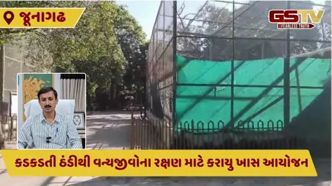Junagadh: સક્કરબાગ ઝૂમાં પ્રાણીઓને ઠંડીથી બચાવવા કરાઈ વિશેષ વ્યવસ્થાઓ