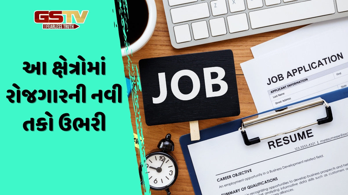 Year Ender 2025 / આખા વર્ષમાં આ નોકરીઓનો રહ્યો દબદબો, બજારમાં રહી જબરદસ્ત માંગ