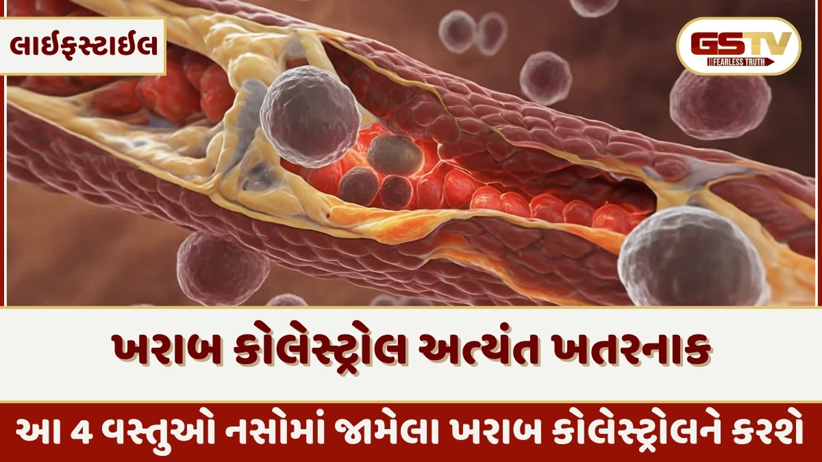 Health Tips : આ 4 વસ્તુઓ નસોમાં જામેલા ખરાબ કોલેસ્ટ્રોલને કરશે દૂર