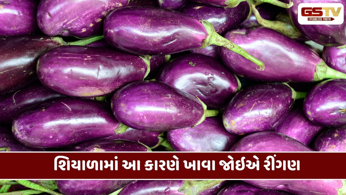 Health Tips : શિયાળામાં આ કારણે ખાવા જોઇએ રીંગણ, જાણો સ્વાસ્થ્ય લાભ