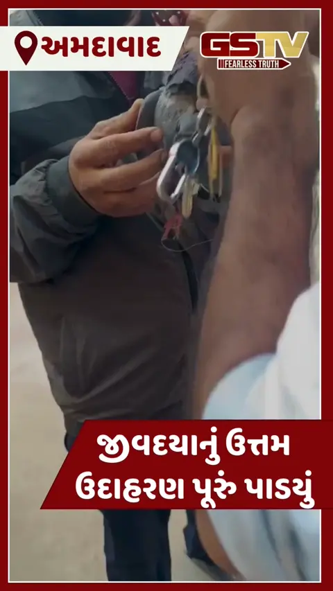 VIDEO: જીવદયા પ્રેમી વિજય ડાભીએ મોં વડે CPR આપી અબોલ પક્ષીનો જીવ બચાવી લીધો