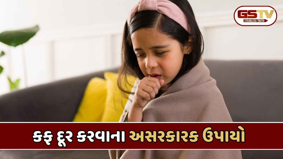 Health Tips : બાળકોની છાતીમાં કફ જામી ગયો છે તો આ ઉપાય કરો, આનાથી મળશે રાહત