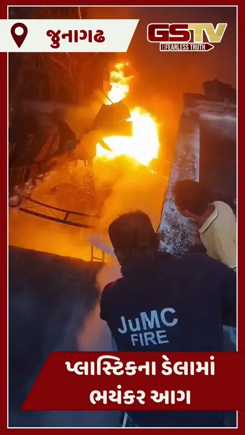 Video/ JUnagadh GIDCમાં પ્લાસ્ટિકના ડેલામાં ભયંકર આગ: 4 બકરાઓના મોતની આશંકા, 9 ફાયર ટેન્કર હાજર