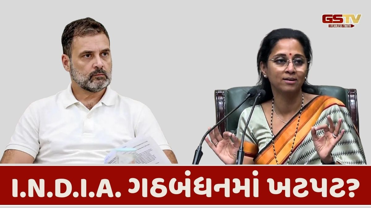 EVM પર સવાલ નહીં: 'આ મશીનથી જ..', 'INDIA'માંથી વધુ એક સાથી પક્ષે પાછા ખેંચ્યા હાથ!