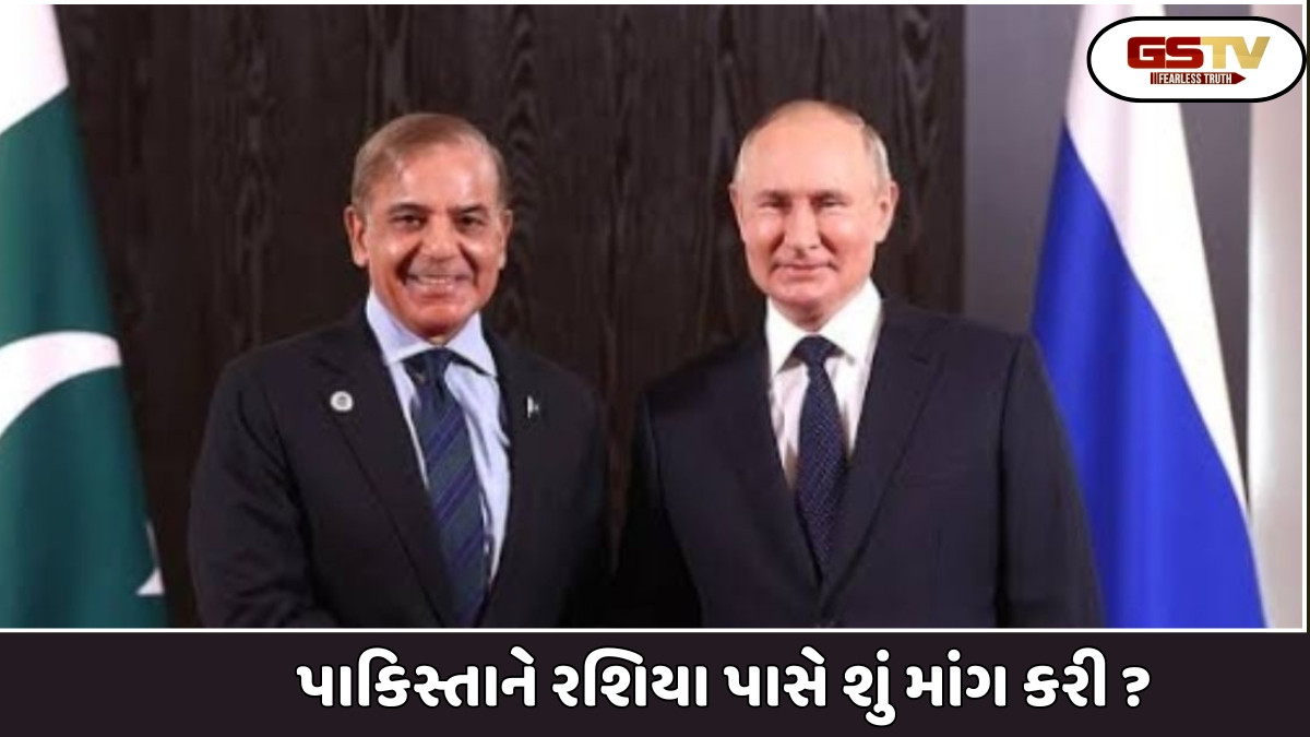 પાકિસ્તાને શરુ કર્યો ખેલ, ભારતનો લાભ જોઈ રશિયાને પાસે કરી આ માંગ