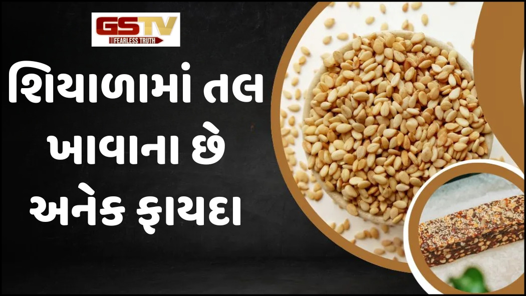 Sahiyar: સાંધાના દુ:ખાવા સહિત આટલી સમસ્યાઓથી રાહત આપશે તલ; જાણો વૈદકિય ગુણો