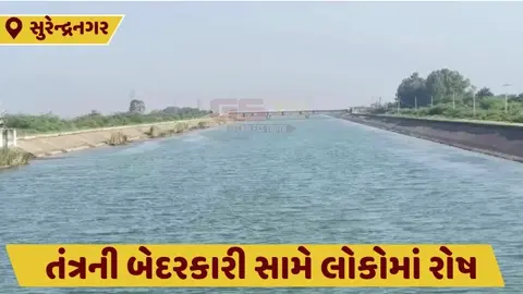 Surendranagar: ધોળીધજા ડેમ ઓવરફ્લો, પીવાના પાણી માટે વલખાં મારતા લોકોના ઘરોમાં જ ભરાયા પાણી