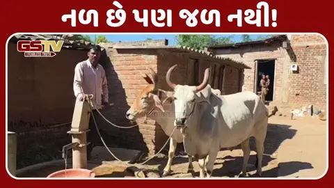 Chhota Udaipurમાં નલ સે જલ' યોજનાનો ફિયાસ્કો, ચાર ફળિયામાં શુદ્ધ પાણીની અછત