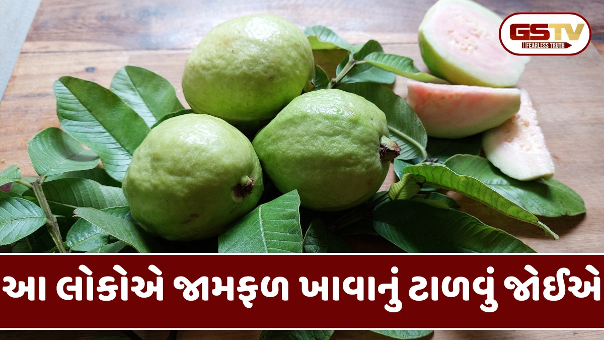 Health Tips / આ લોકોના સ્વાસ્થ્યને નુકસાન પહોંચાડી શકે છે જામફળ, ક્યાંક તમે પણ તેમાં સામેલ નથીને?