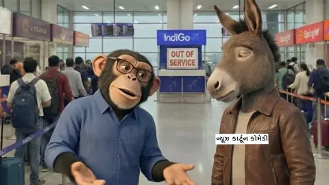ઈન્ડિગો ફલાઈટ