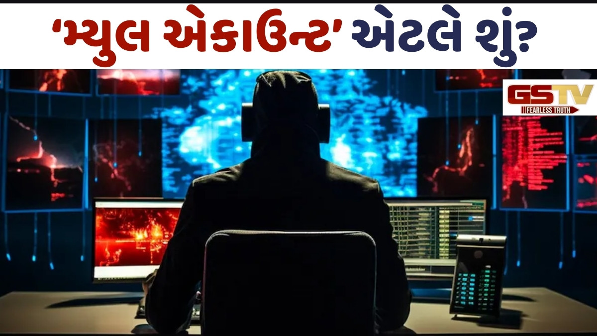 તમારા બેંકનું ખાતુ 'મ્યુલ એકાઉન્ટ' તો નથી ને? રિઝર્વ બેંકના ગવર્નરે આપી ચેતવણી!