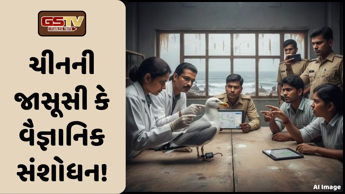 ભારતીય નૌસેનાના અતિસંવેદનશીલ વિસ્તારમાંથી મળ્યું ચાઈનિઝ GPSથી સજ્જ પક્ષી, સુરક્ષા એજન્સી એલર્ટ