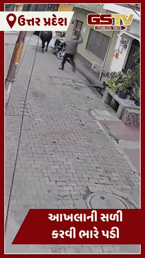 VIDEO:આખલાને વગર કારણે સળી કરવી વૃદ્ધને ભારે પડી, થઈ ગયા હોસ્પિટલ ભેગા
