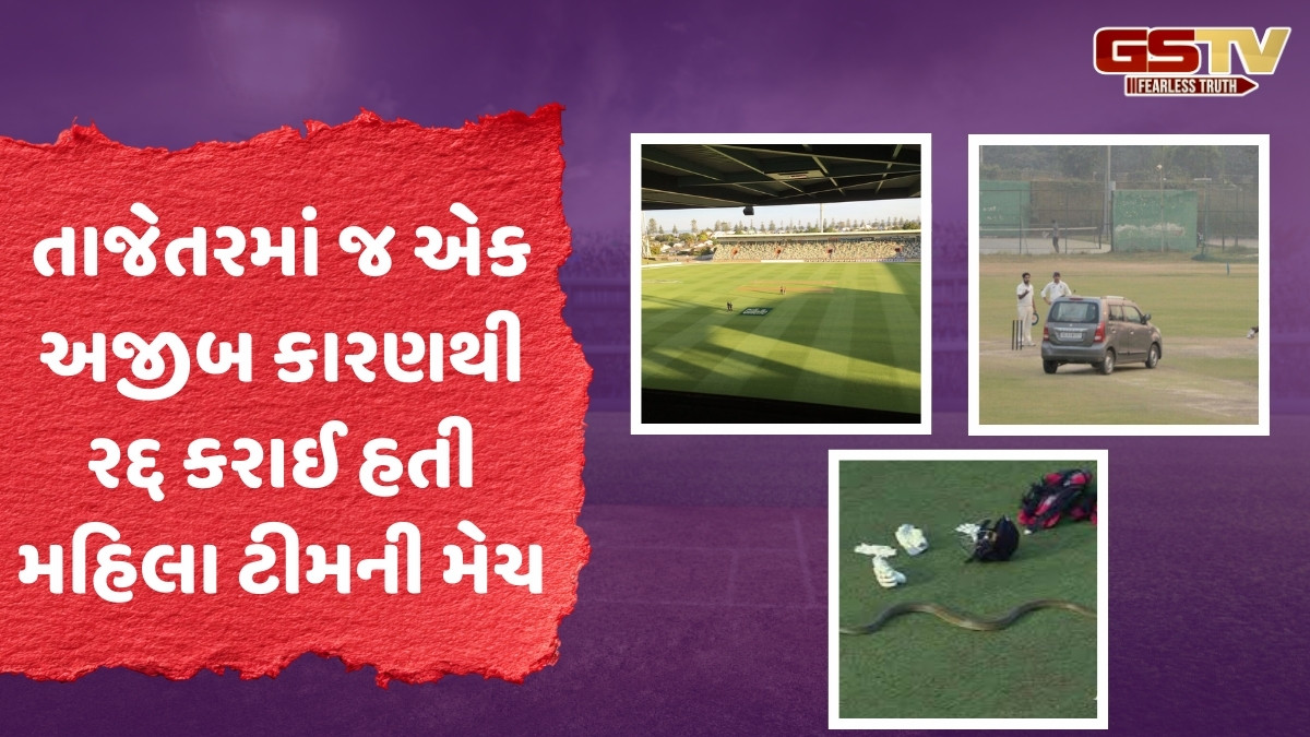 ક્યારેક સાપ, ક્યારેક સૂર્યપ્રકાશ, તો ક્યારેક મેદાન પર કાર... આ વિચિત્ર કારણોસર રોકવી પડી હતી ક્રિકેટ મેચ