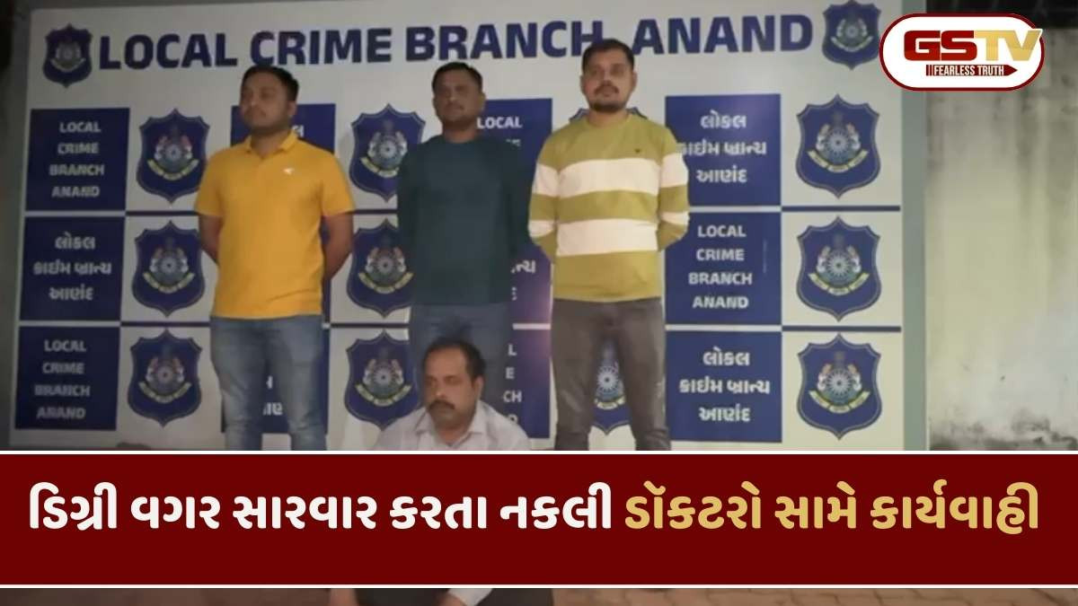Anand news: 48 કલાકમાં મેડિકલ ડિગ્રી વગર પ્રેક્ટિસ કરતા 2 ડૉક્ટરની ધરપકડ