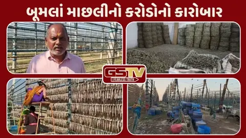 જાફરાબાદ બન્યું ગુજરાતનું મહત્વનું બંદર, આંતરરાષ્ટ્રીય દરિયાઈ નકશામાં ચમકતું થયું નામ