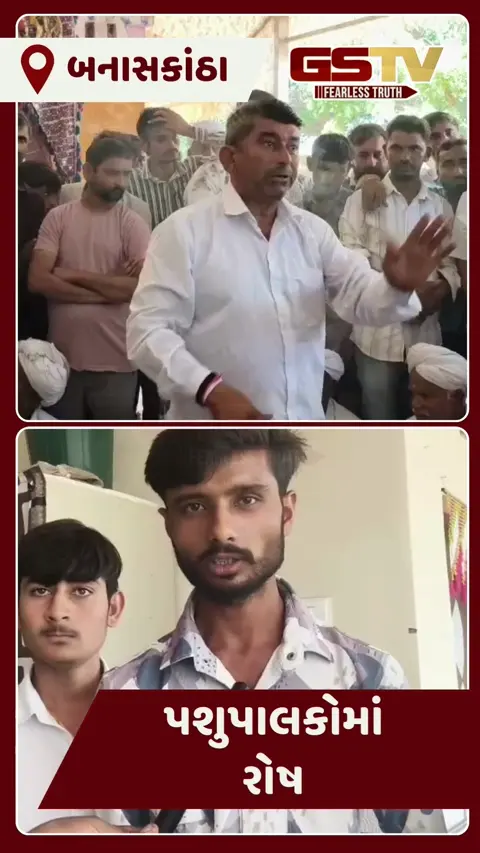 Video/ Banasknathaની મોટી ઘરનાળ દૂધ ડેરીમાં વિવાદ વકર્યો, નવી મંડળીની રચના અને અટકેલા પગારને લઈ પશુપાલકોમાં રોષ