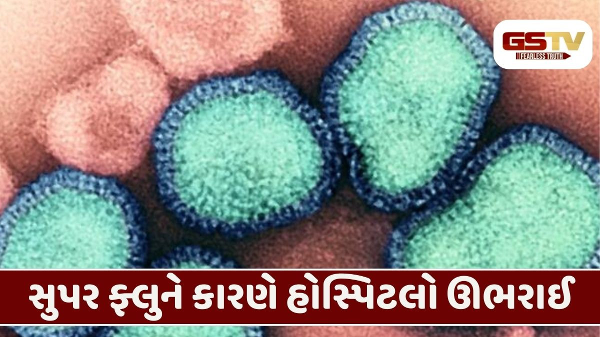 વિશ્વના ૩ શક્તિશાળી દેશોમાં H3N1 વાયરસ બેકાબૂ: સંક્રમિતોમાં 19 વર્ષથી ઓછી વયના કિશોરોની સંખ્યા સૌથી વધુ