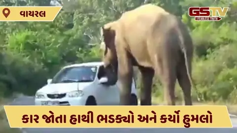 VIDEO : કાર જોતા હાથી ભડક્યો અને કર્યો હુમલો, પછી જુઓ શું થયું