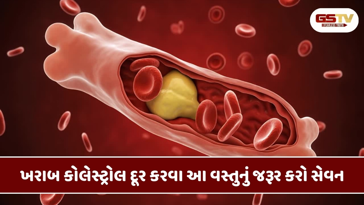 Health Tips: આ 4 વસ્તુઓ નસોમાં જામેલા ખરાબ કોલેસ્ટ્રોલને કરશે દૂર, આજે જ ડાયટમાં કરો સામેલ