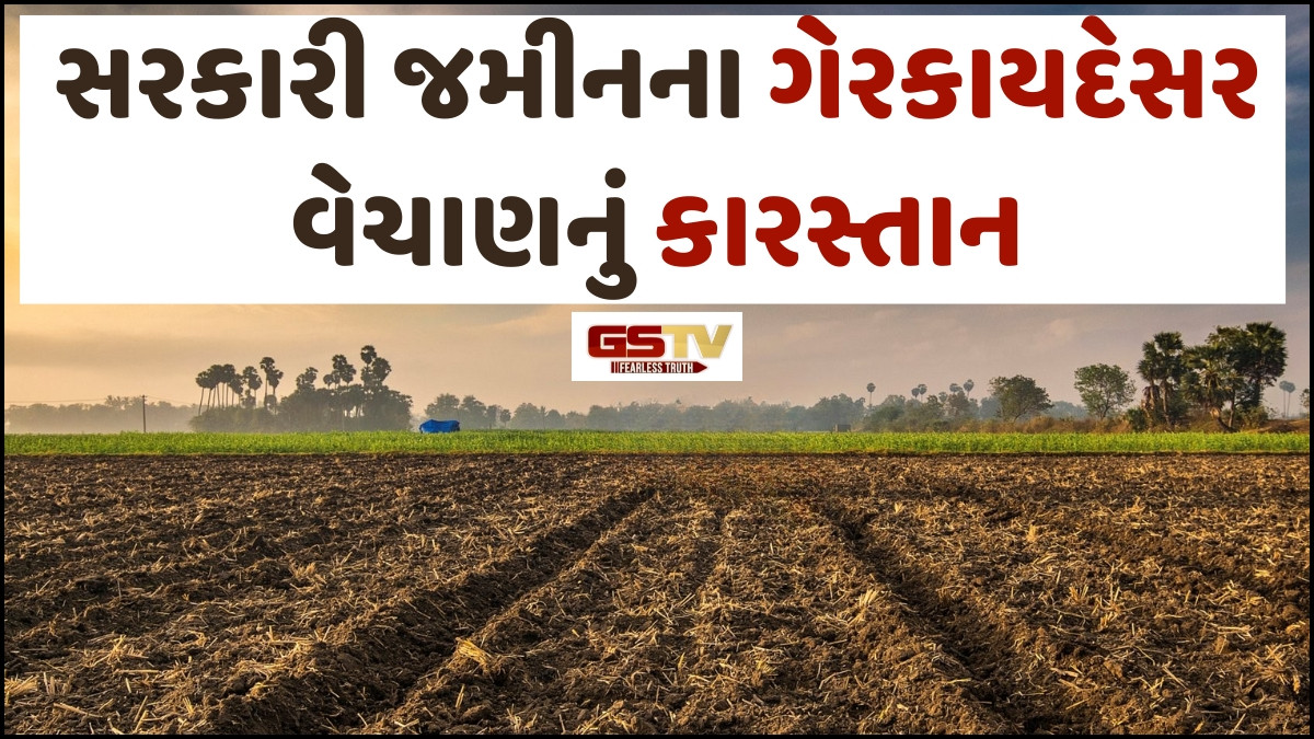 Business Plus: ગણોતધારાની જોગવાઈઓ હેઠળ સરકાર દાખલ થયેલ જમીનો ગેરકાયદેસર રીતે વેચાણ અને અનિયમિતતાઓ અંગે