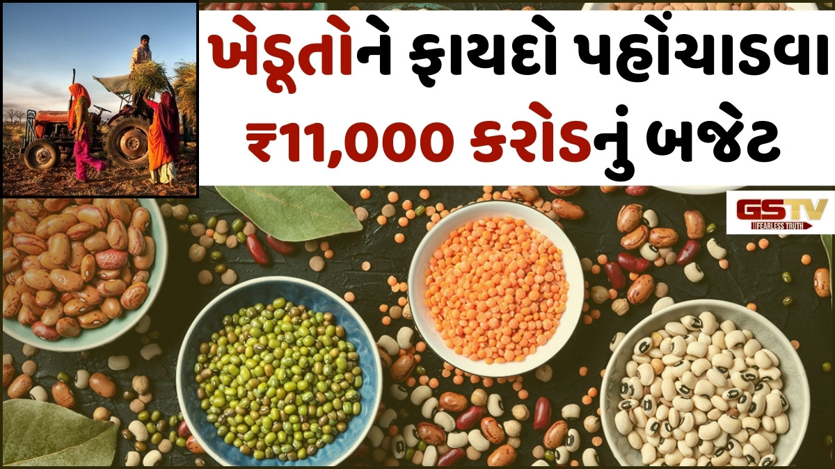 Business Plus: દેશમાં કઠોળનું ઉત્પાદન 350 લાખ ટન સુધી લઈ જવાનો સરકારનો લક્ષ્યાંક