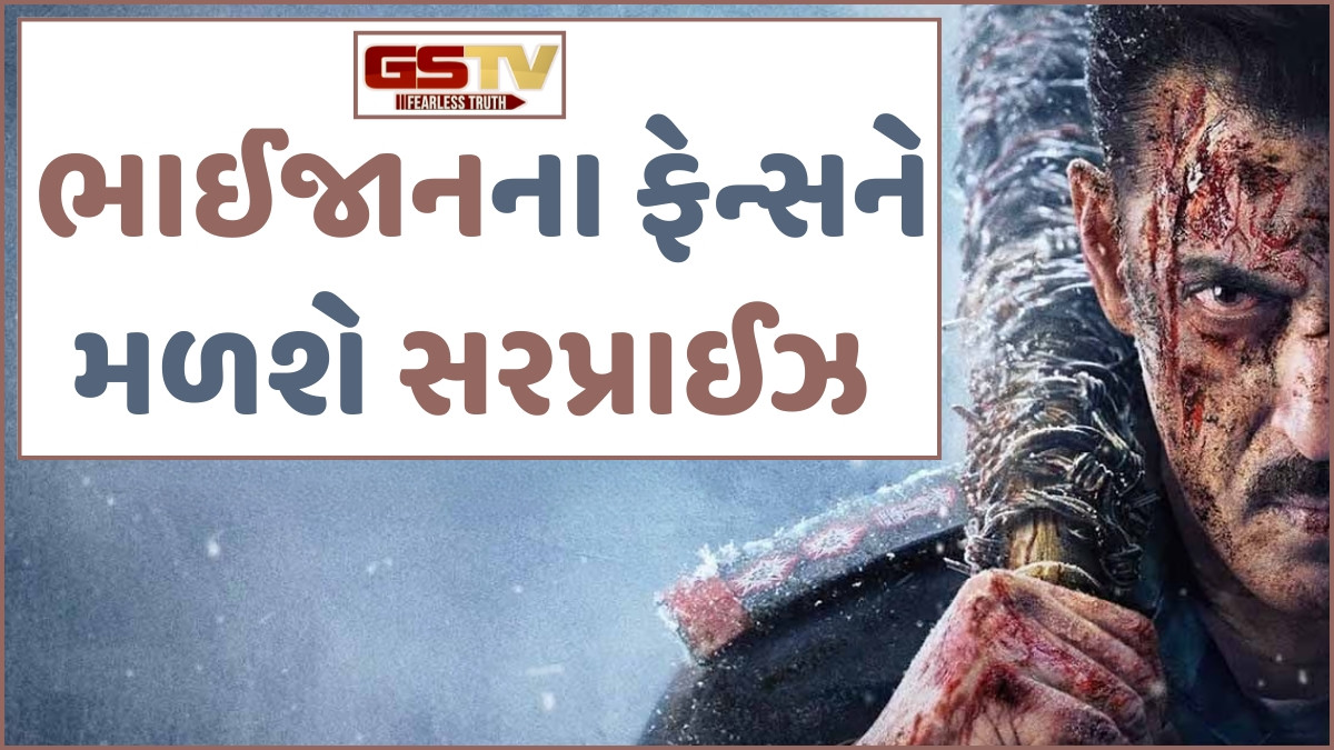સલમાન ખાનના 60માં જન્મદિવસે ફેન્સને મળશે મોટી સરપ્રાઈઝ!