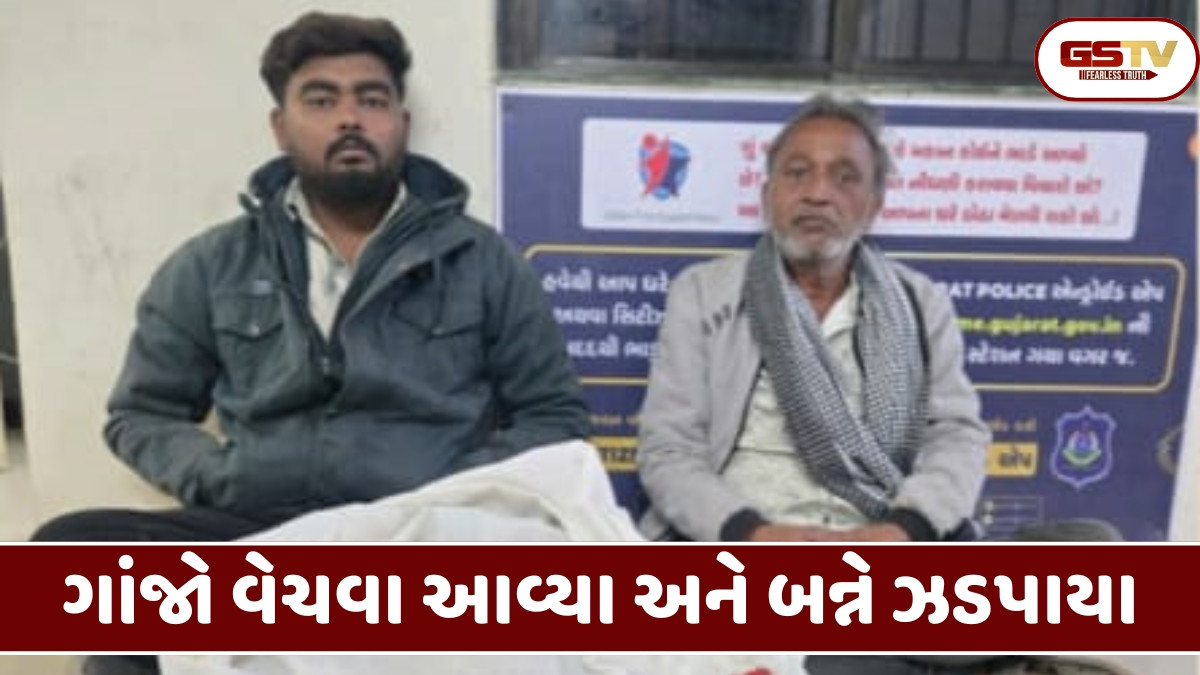 Patan news: SOGની ટીમે ડ્રગ્સના જથ્થા સાથે બે આરોપીઓને દબોચ્યા