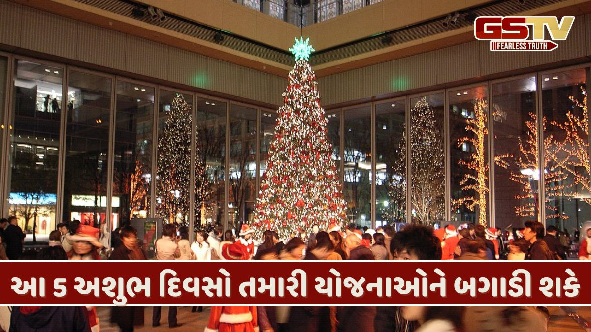 જો તમે નાતાલ કે નવું વર્ષ ઉજવવાનું વિચારી રહ્યા છો, તો પહેલા આ વાંચવાનું ચૂકશો નહીં