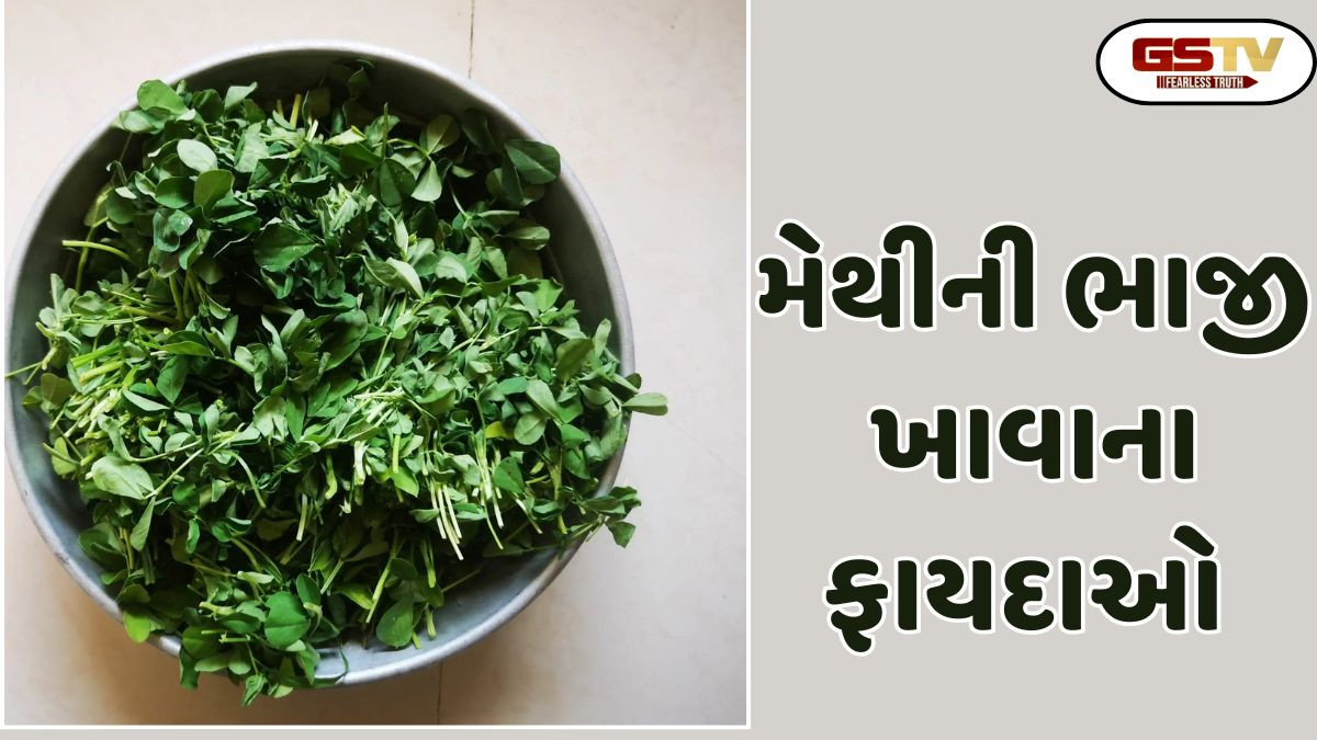Sahiyar: મેથીની ભાજી ડાયાબિટીસ કાબૂમાં આવે અને કોલેસ્ટેરોલના પ્રમાણમાં ઘટાડો