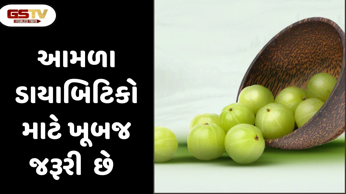 Sahiyar: ડાયાબિટિકો માટે અમૃતતુલ્ય આમળાં ,રોજનું એક આમળું શરીરની તમામ મૂળભૂત પોષક જરૂરિયાત પૂરી કરે છે