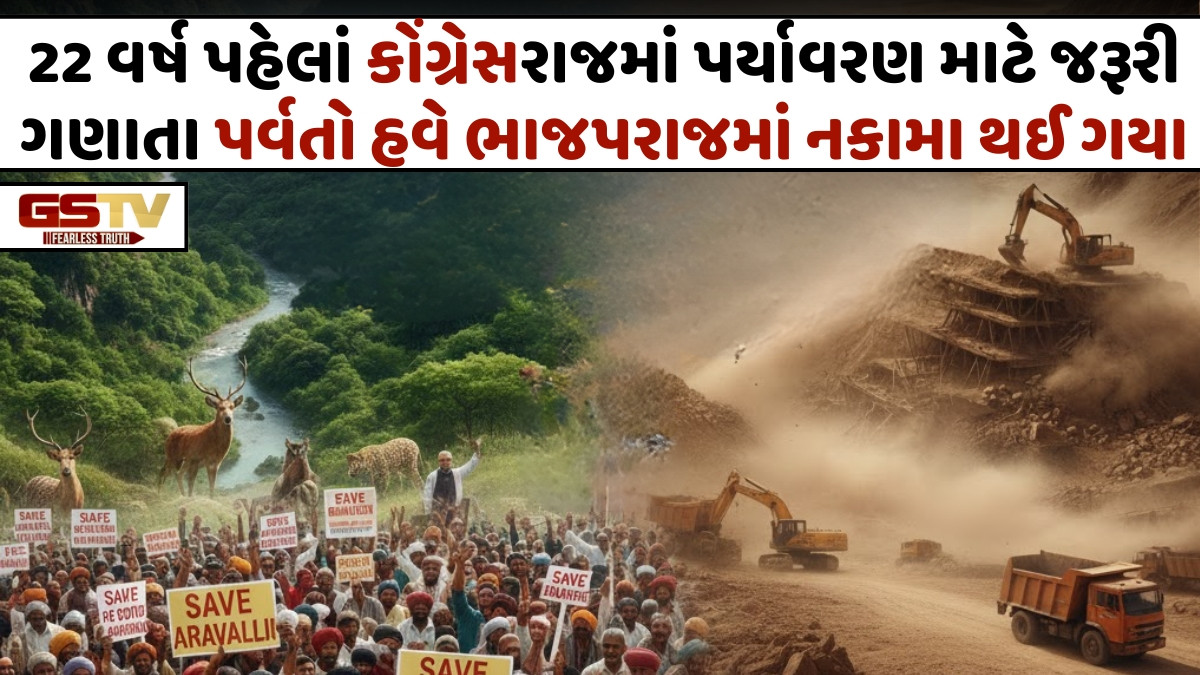 Newsfocus/ અરવલ્લી: હિમાલયથી પણ જૂની પર્વતમાળાને નષ્ટ કરવાનું કાવતરું