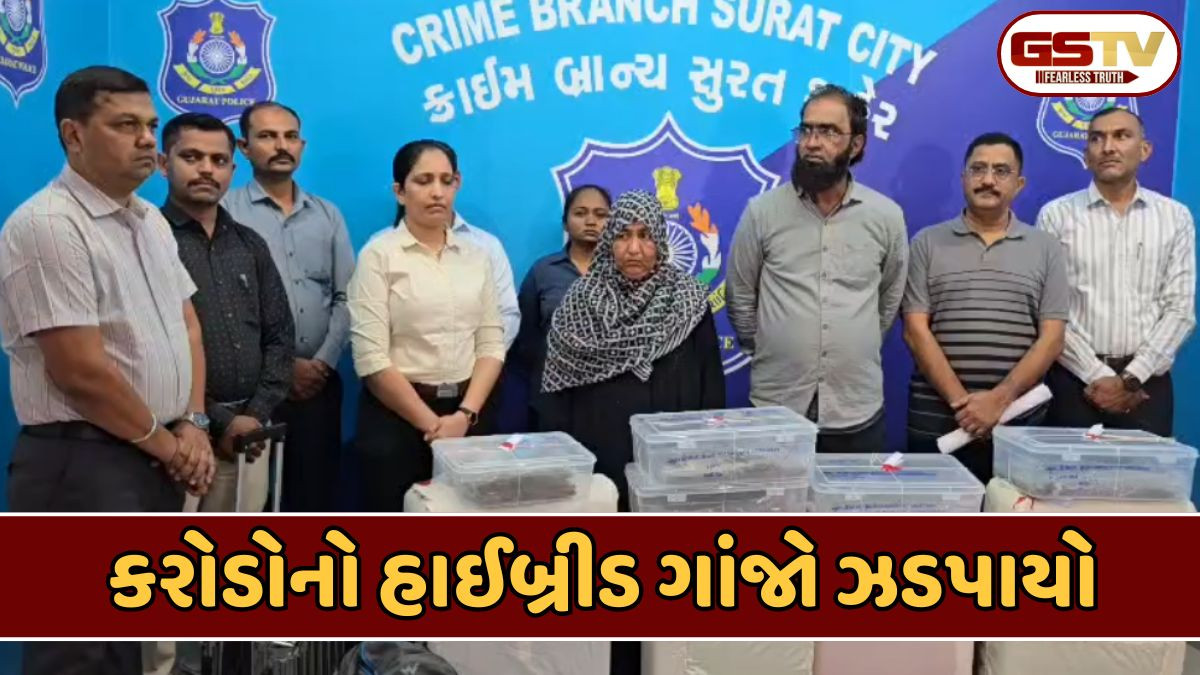 Surat એરપોર્ટ પર 6.18 કરોડના હાઈબ્રીડ ગાંજા સાથે મહિલા સહિત બે પકડાયા, બેંગકોકથી લવાયો હતો જથ્થો