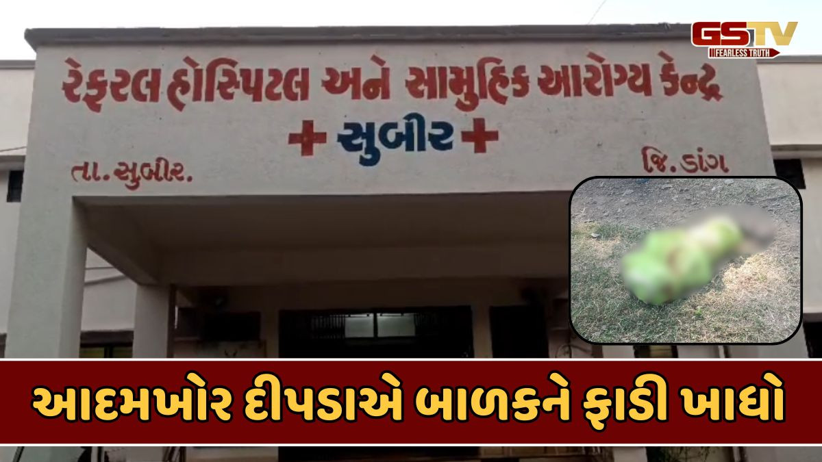 Dang news: દીપડાએ 7 વર્ષીય બાળકને ફાડી ખાધો, ગાય ચરાવતી વખતે કર્યો હતો હુમલો