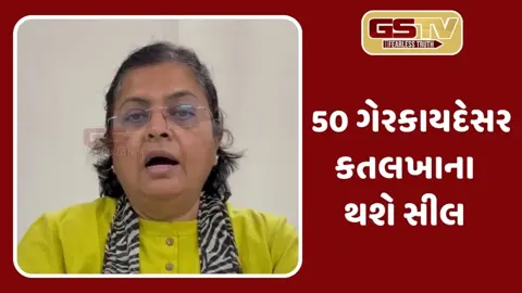 Patanમાં 50 સ્લોટિંગ યુનિટ્સ થશે સીલ, નગરપાલિકા 31 ડિસેમ્બરે કરશે કાર્યવાહી